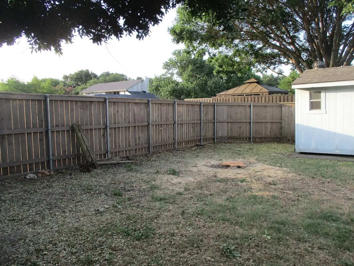 Cleared yard after professional tree removal in Girard
