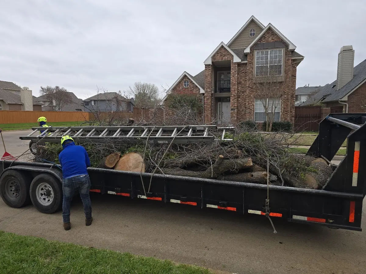 Expert Tree Fertilization with proper safety equipment in Girard